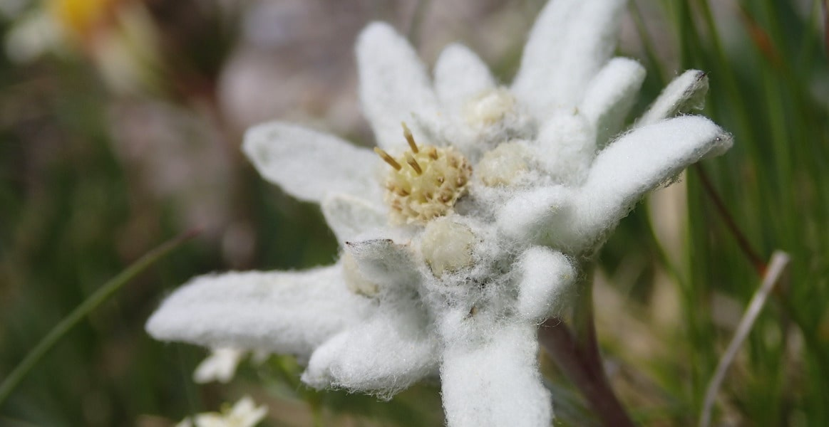 trekking-peru-himalaya-senderismo-guia