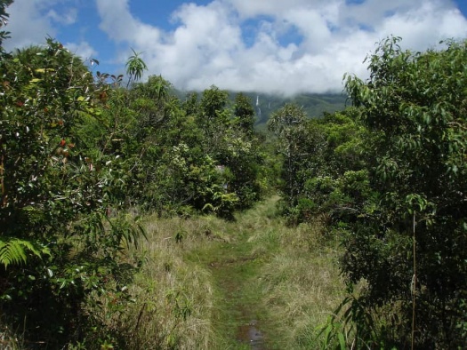 trekking senderismo isla de la reunion francia guia montana